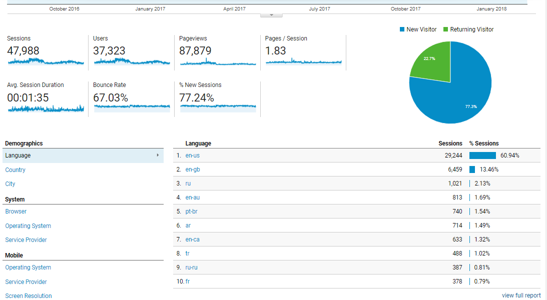 Visitor Analysis Report